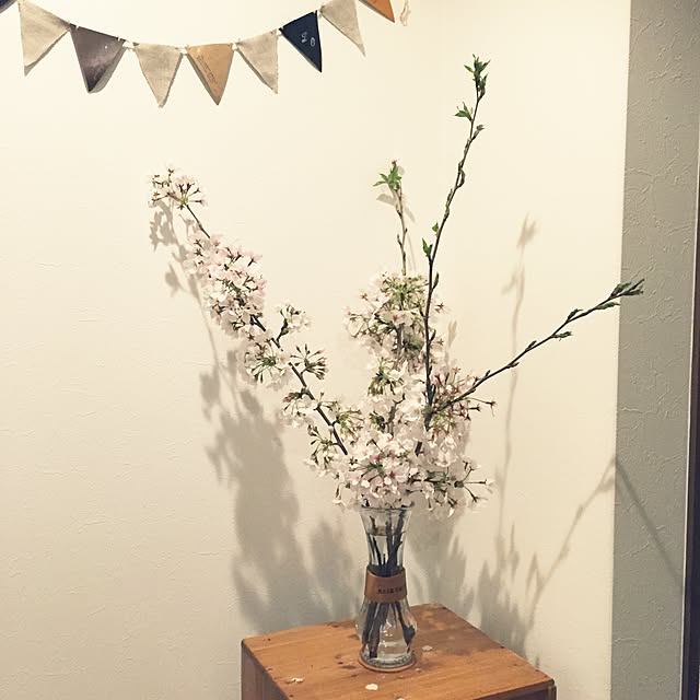 youk2519さんの実例写真