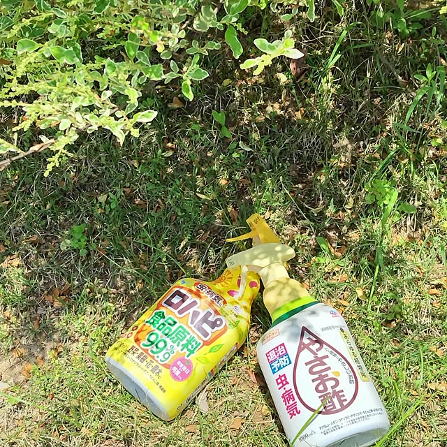 marronさんの実例写真