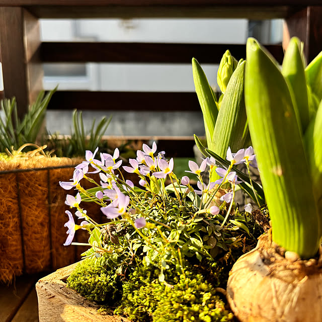 kyoko1124koさんの部屋