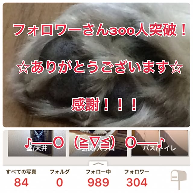 lenkaさんの実例写真