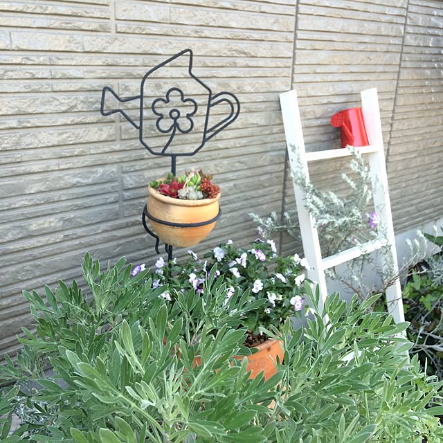 amiさんの実例写真