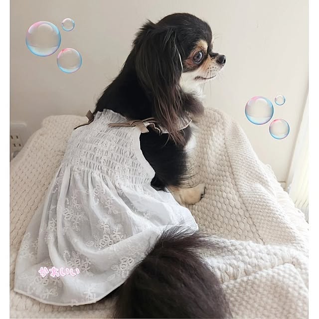 yumegu8さんの部屋