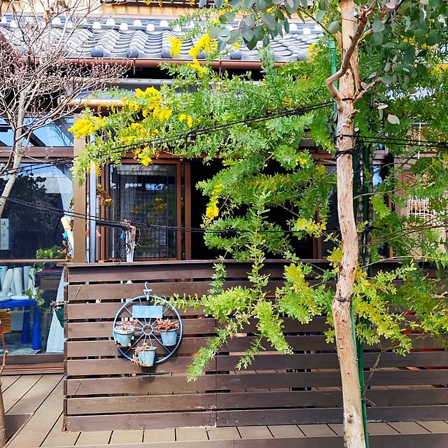 Toraziさんの実例写真