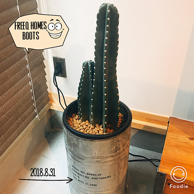 部屋全体/観葉植物のインテリア実例 - 2018-08-31 21:11:50