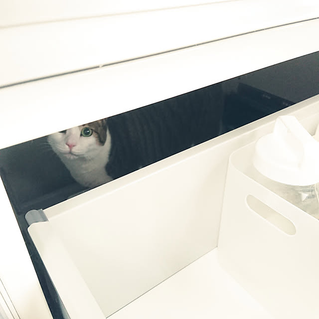 nachiさんの実例写真