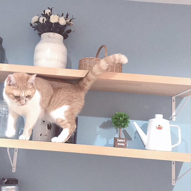 Yさんの実例写真