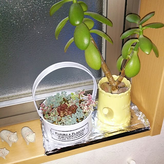 実例写真
