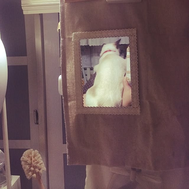 chadoさんの実例写真