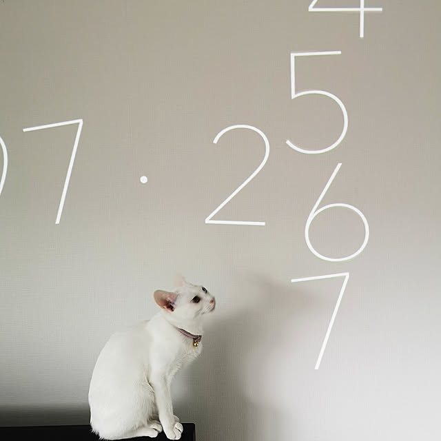 komugiさんの実例写真