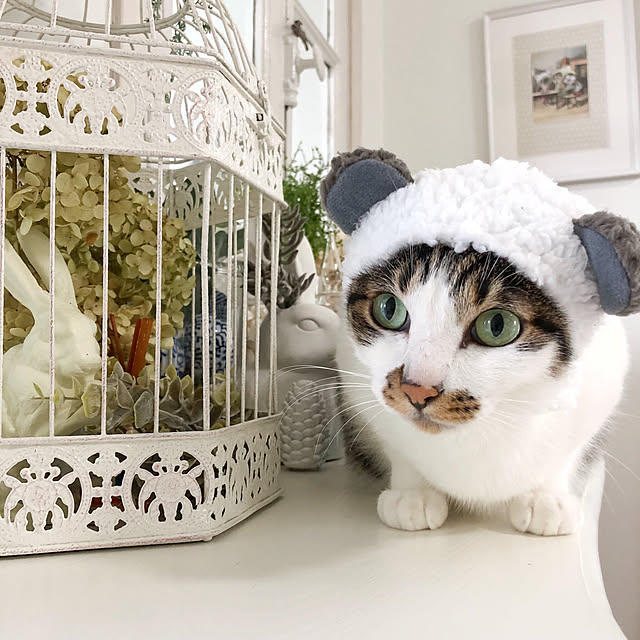 yuchiさんの実例写真
