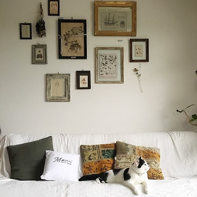 Mouさんの実例写真