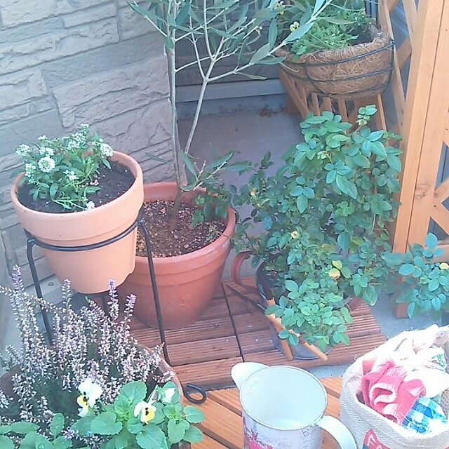 springさんの実例写真