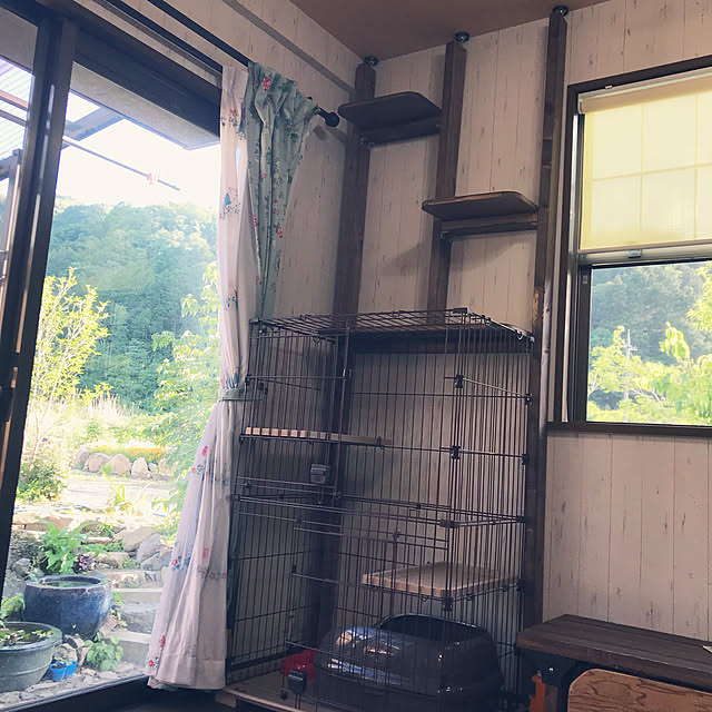 pepeさんの部屋