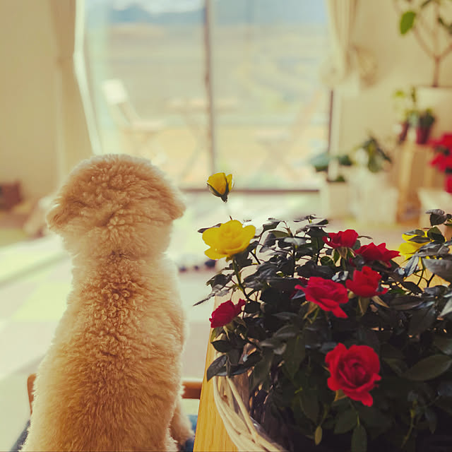 m.tさんの実例写真