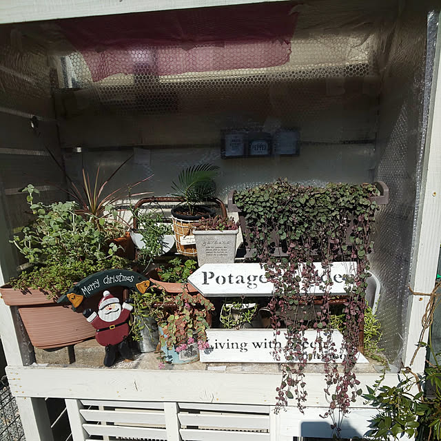 mmpoohさんの実例写真