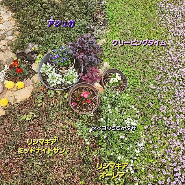 Mariさんの部屋