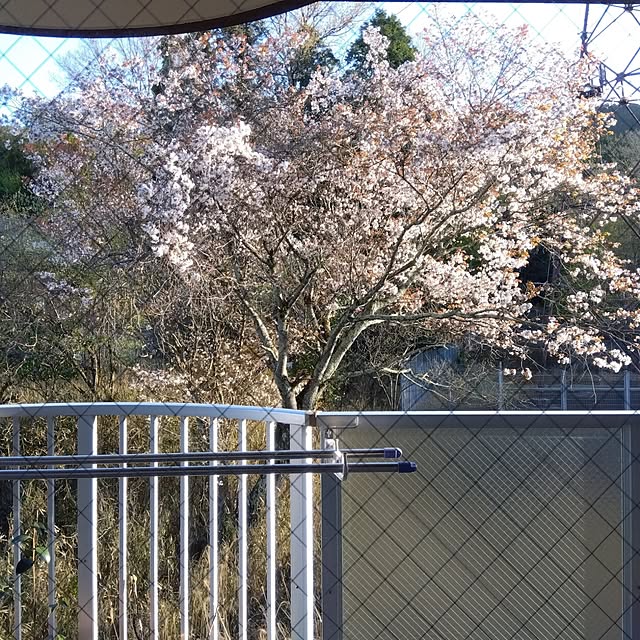 K0417-M0604さんの実例写真