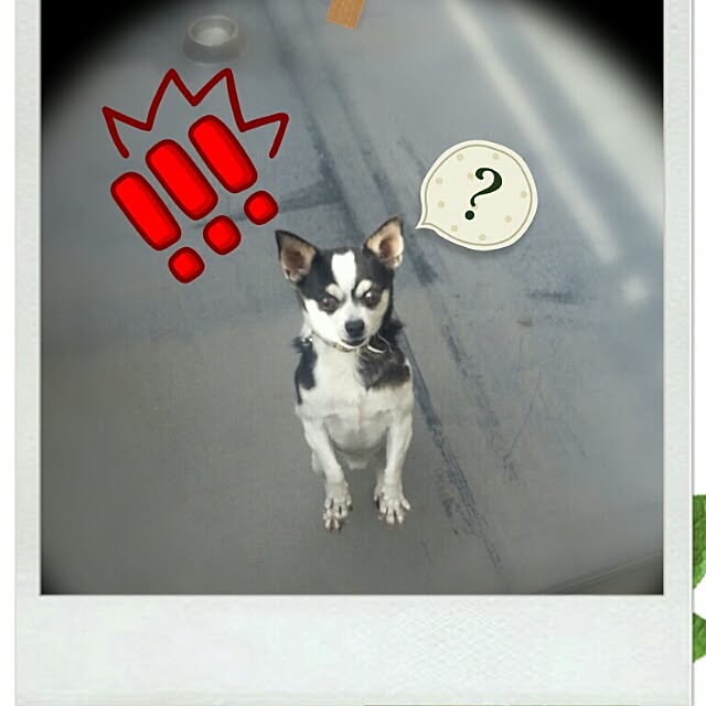 jewelさんの実例写真