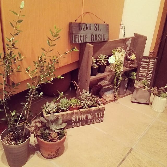 greencafeさんの実例写真