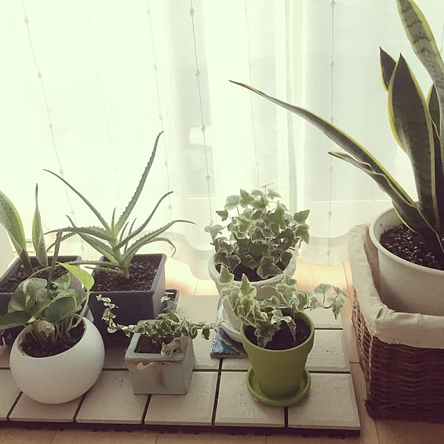 krさんの実例写真