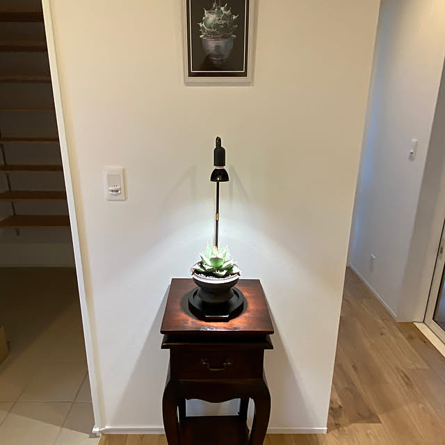 CHARさんの部屋