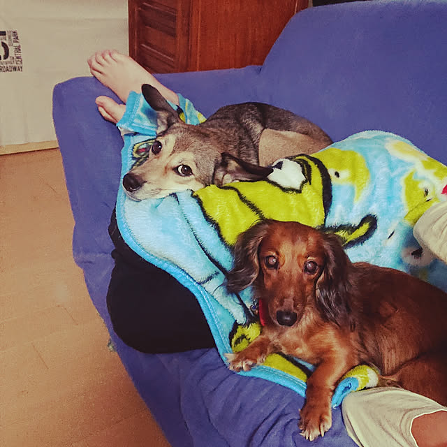 andさんの実例写真