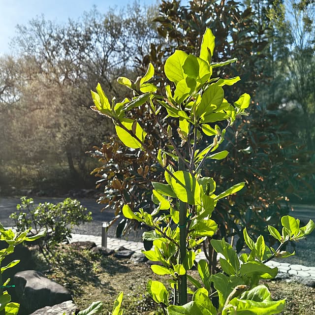 Rubiconさんの部屋