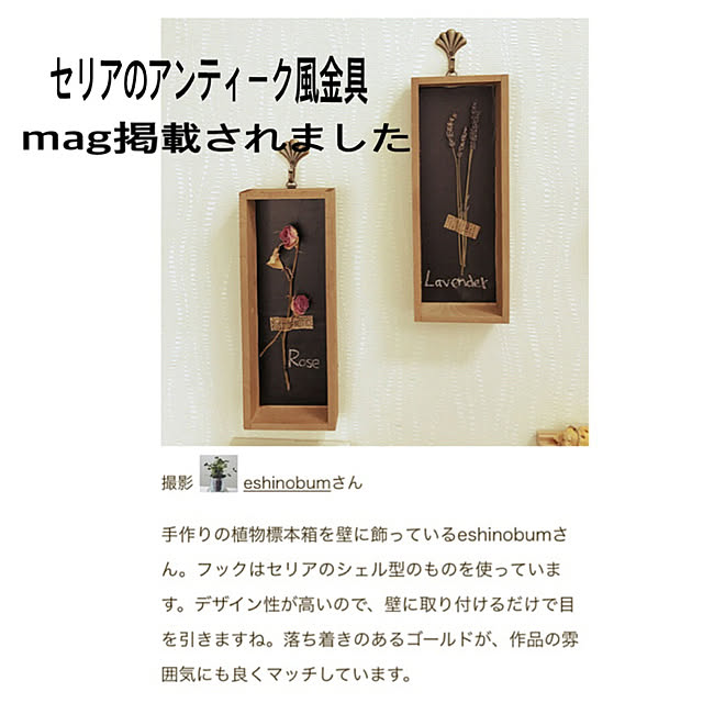 eshinobumさんの実例写真
