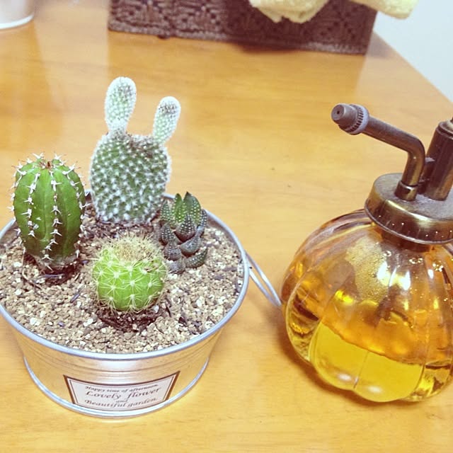 sayaさんの実例写真