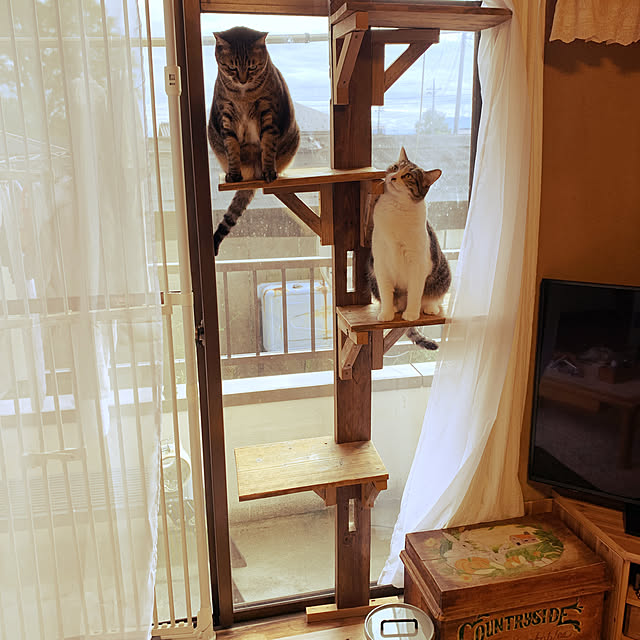 rioさんの実例写真