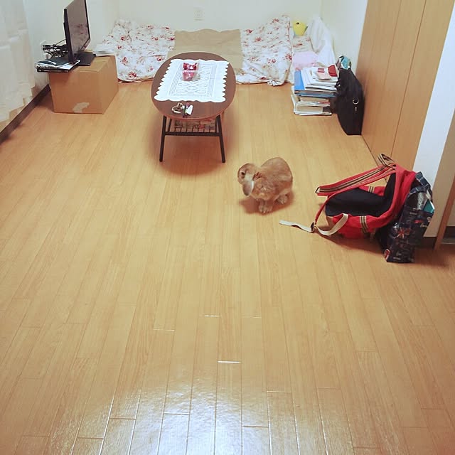 sennaさんの実例写真