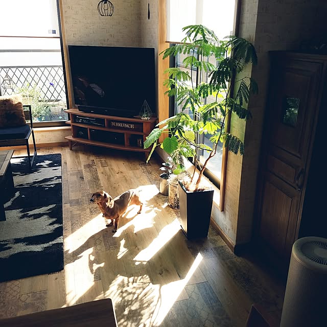 BRUNCHさんの実例写真