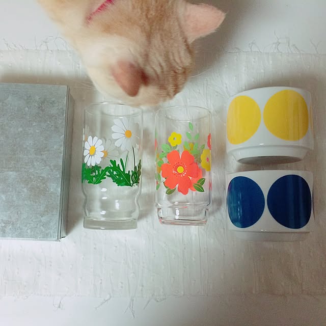38kinokoさんの実例写真