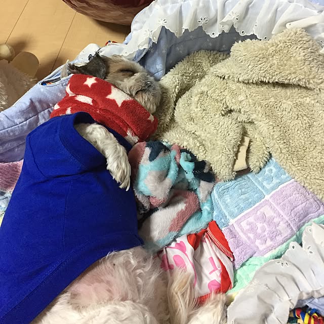 emiさんの実例写真