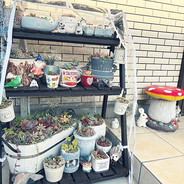 happy_kakakaさんの実例写真