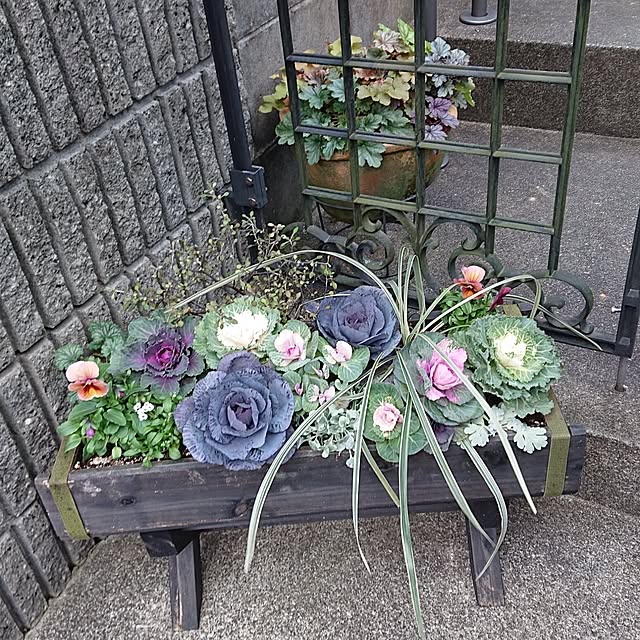 taeko0779さんの実例写真