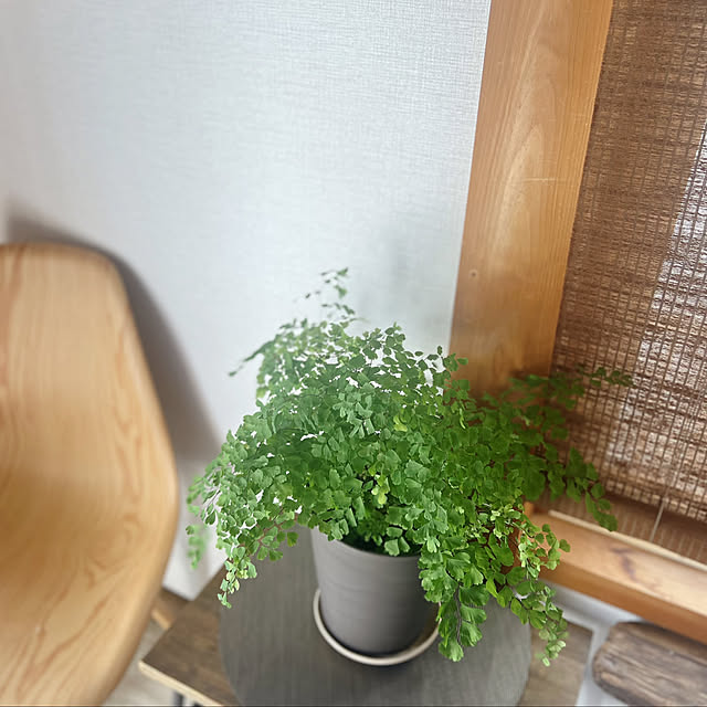 rookuさんの実例写真