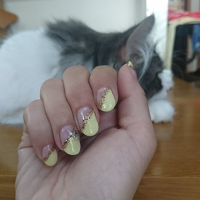 shinobuさんの実例写真