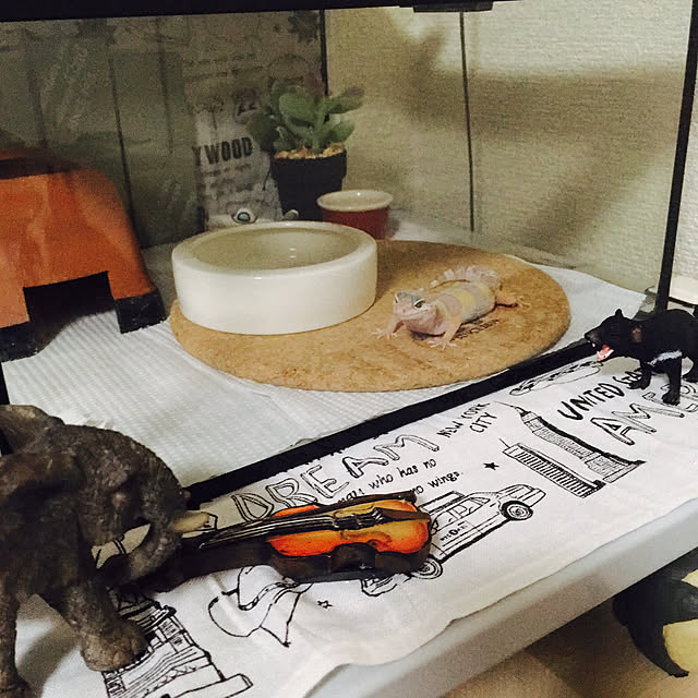 Kaoriさんの実例写真