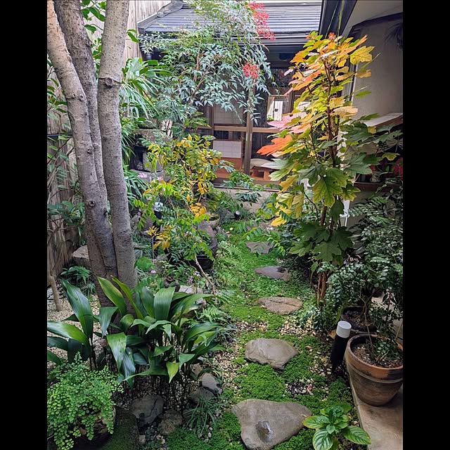 aromameさんの実例写真