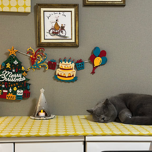 kittyさんの部屋