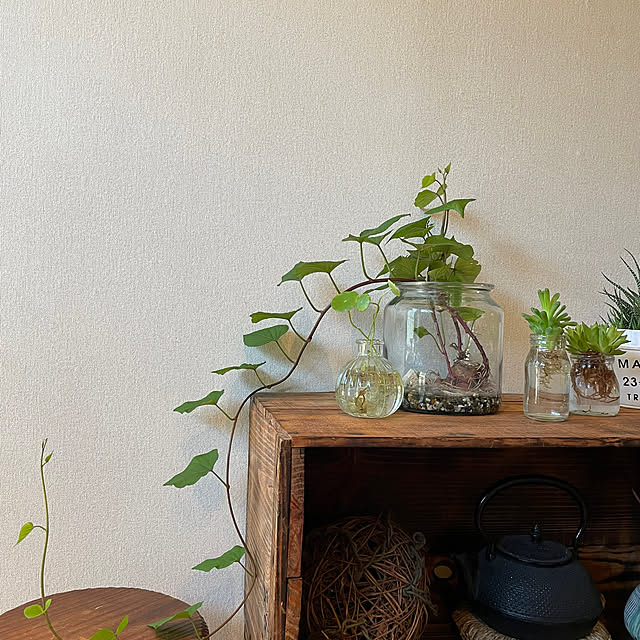 kuma3さんの部屋