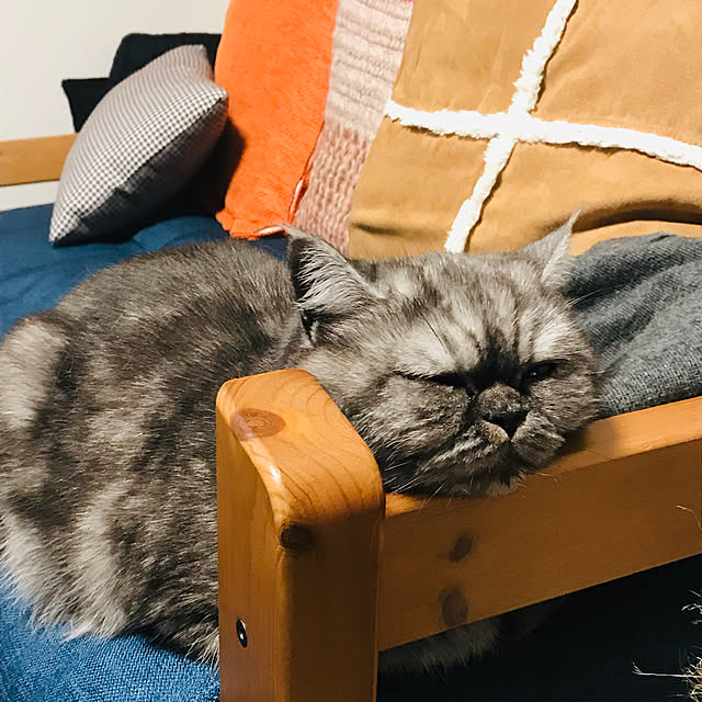Marinさんの実例写真