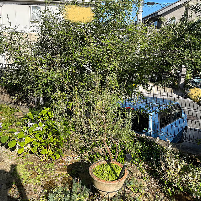 kikiさんの部屋