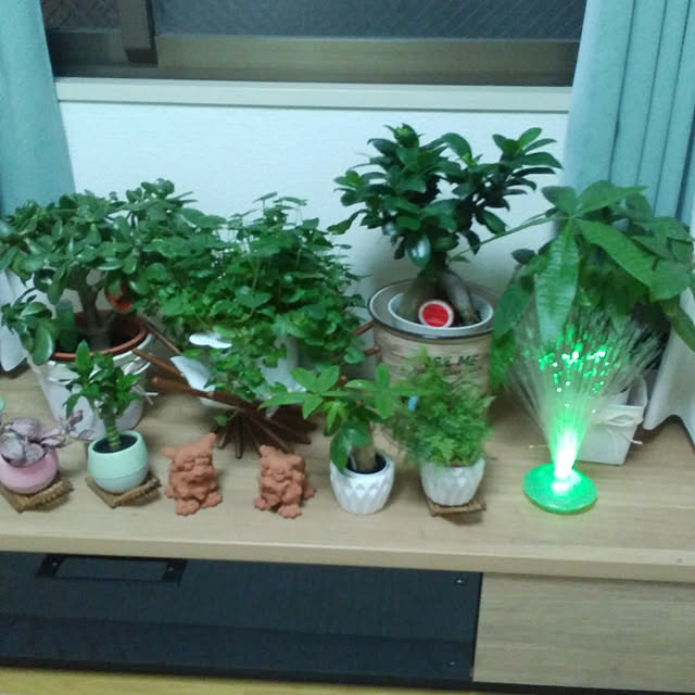 akemiagena0531A0531さんの実例写真