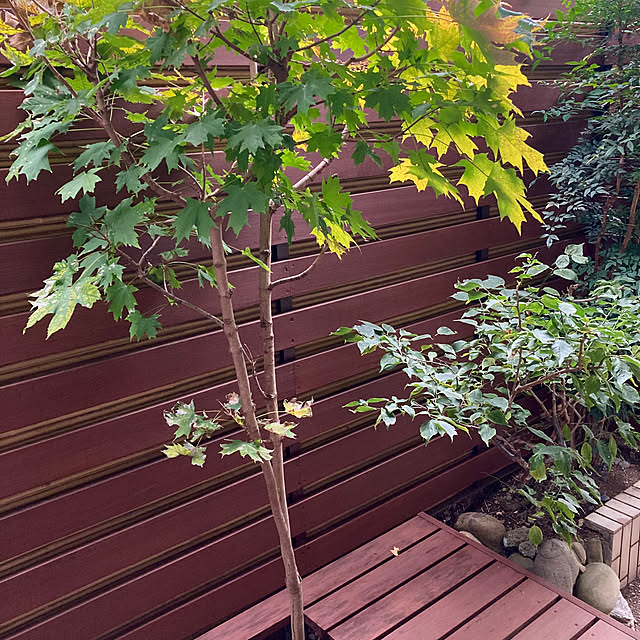 kayokos0801さんの実例写真