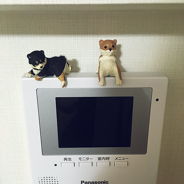 T_kanaさんの実例写真