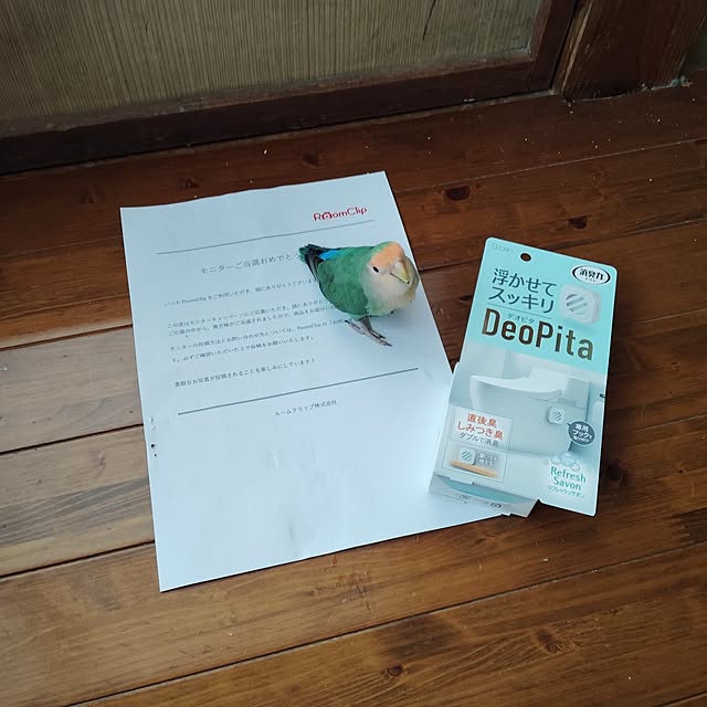 aoinokimiさんの部屋