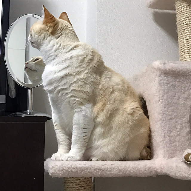 namitomiさんの実例写真