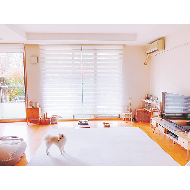 tokoさんの実例写真